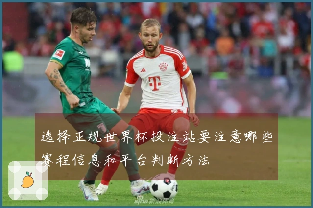 选择正规世界杯投注站要注意哪些赛程信息和平台判断方法