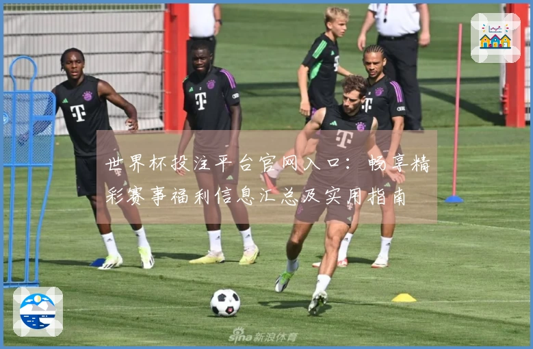 世界杯投注平台官网入口：畅享精彩赛事福利信息汇总及实用指南