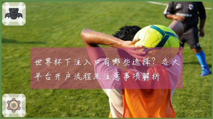 世界杯下注入口有哪些选择？各大平台开户流程及注意事项解析