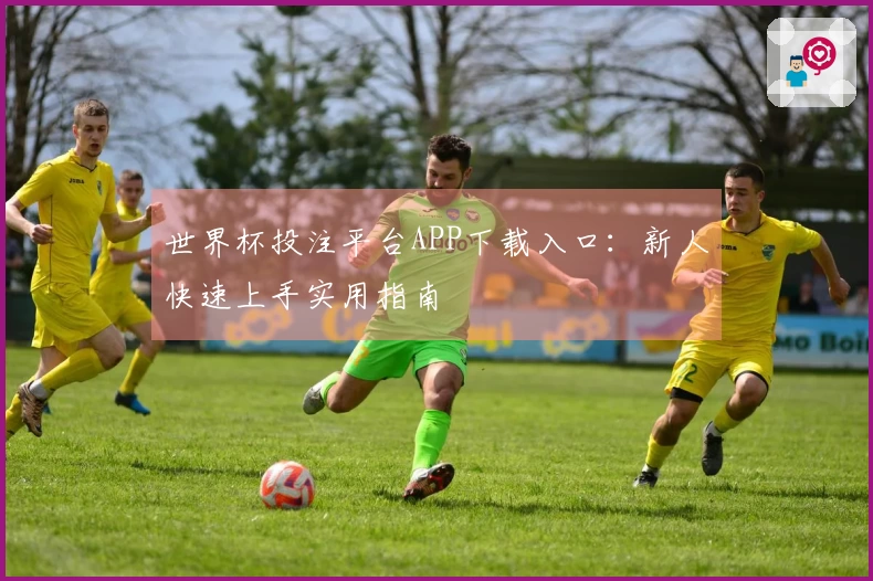 世界杯投注平台APP下载入口：新人快速上手实用指南
