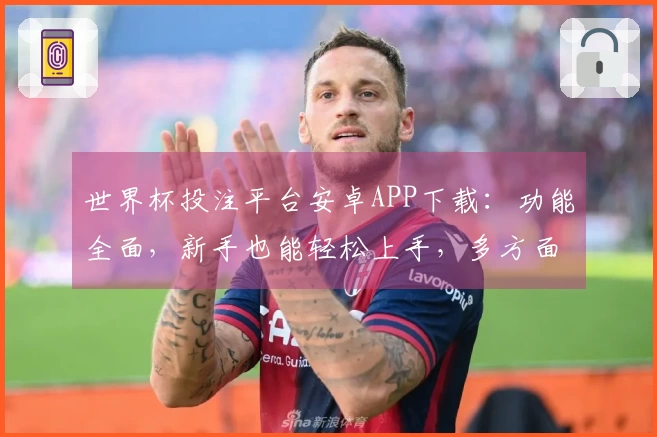 世界杯投注平台安卓APP下载：功能全面，新手也能轻松上手，多方面体验评测