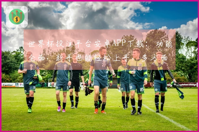 世界杯投注平台安卓APP下载：功能全面，新手也能轻松上手，多方面体验评测