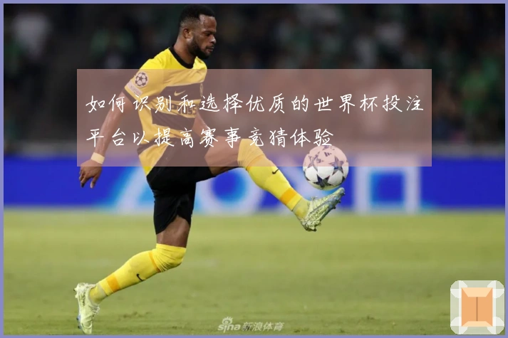 如何识别和选择优质的世界杯投注平台以提高赛事竞猜体验