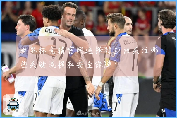 世界杯竞猜官网选择时应该关注哪些关键流程和安全保障?