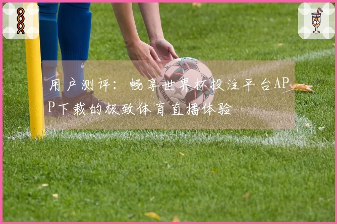 用户测评：畅享世界杯投注平台APP下载的极致体育直播体验