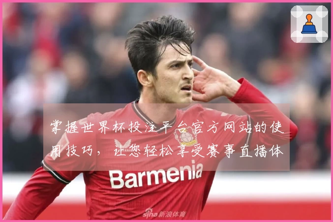 掌握世界杯投注平台官方网站的使用技巧，让您轻松享受赛事直播体验