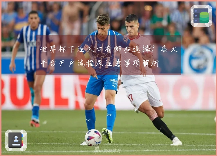 世界杯下注入口有哪些选择？各大平台开户流程及注意事项解析