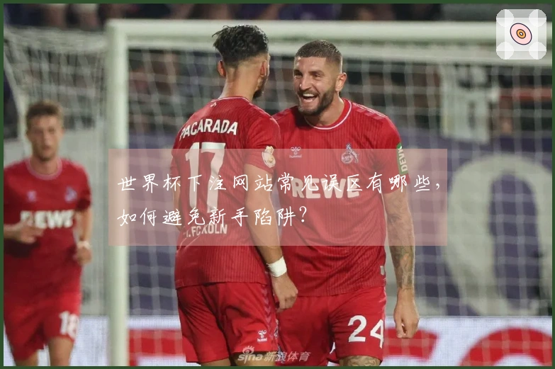 世界杯下注网站常见误区有哪些，如何避免新手陷阱？
